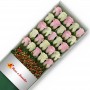 CAJA DE 24 ROSAS ROSADAS Y BLANCAS