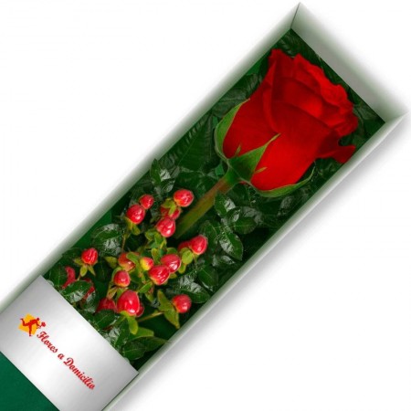 CAJA 1 ROSA ROJA