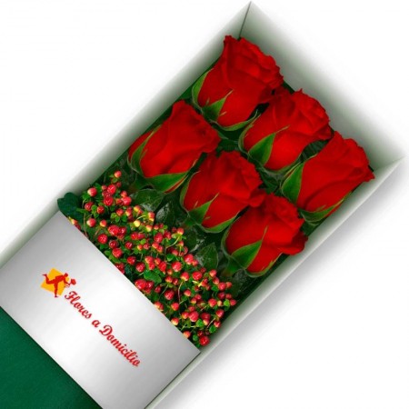 CAJA 6 ROSAS ROJAS