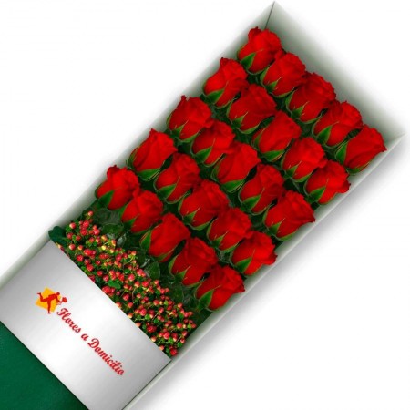 CAJA 24 ROSAS ROJAS