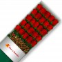 CAJA 24 ROSAS ROJAS
