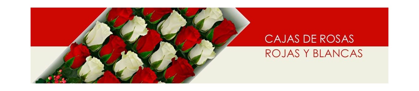 Cajas con Rosas Rojas y Blancas a Domicilio | Flores a Domicilio