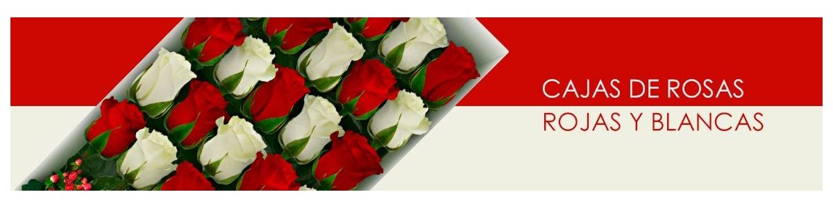 Cajas con Rosas Rojas y Blancas a Domicilio | Flores a Domicilio