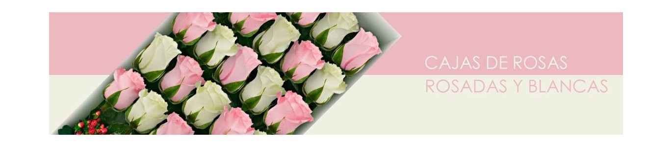 Cajas con Rosas Rosadas y Blancas a Domicilio | De Flores A Domicilio