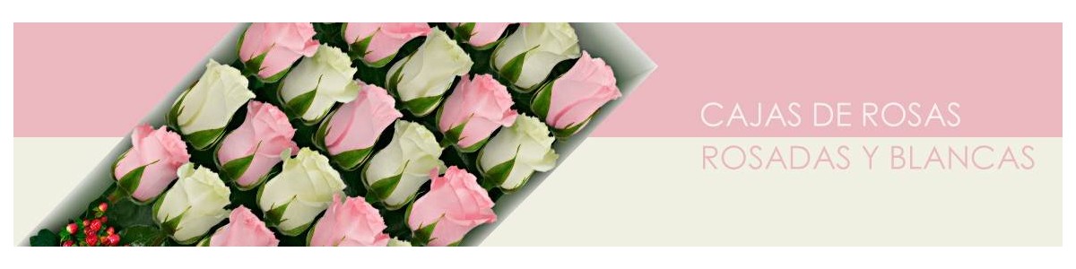 Cajas con Rosas Rosadas y Blancas a Domicilio | De Flores A Domicilio
