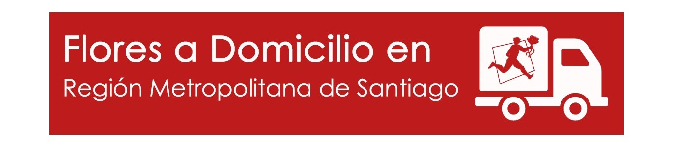 Región Metropolitana de Santiago