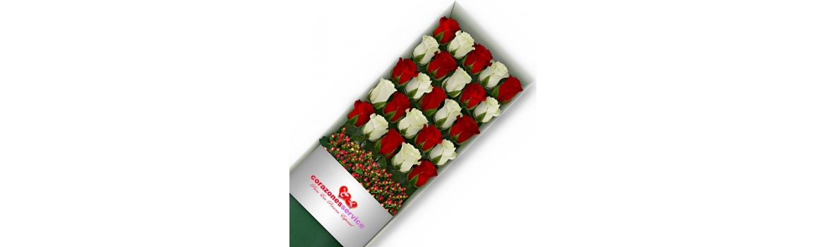 Cajas de Rosas Blancas y Rojas