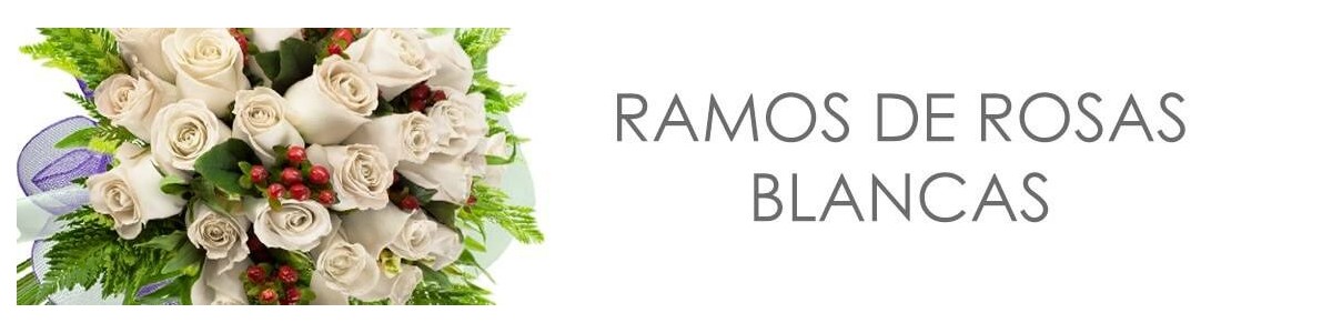 Ramos de Rosas Blancas a Domicilio en Santiago | Flores Frescas