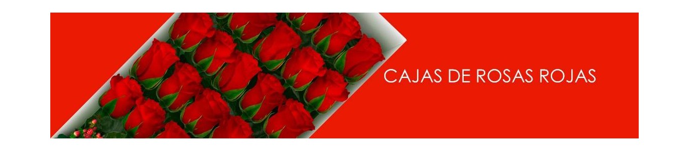 Cajas con Rosas Rojas a Domicilio | Elegancia en Flores a Domicilio