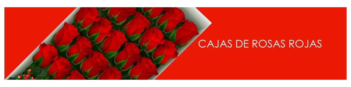 Cajas con Rosas Rojas a Domicilio |  Elegancia en Flores a Domicilio