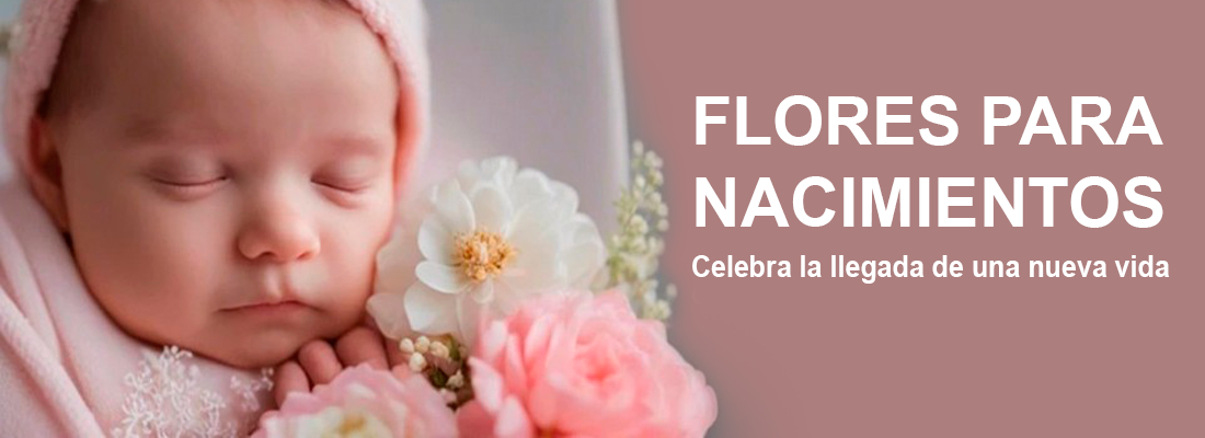 Flores para Nacimientos a Domicilio | Flores a Domicilio