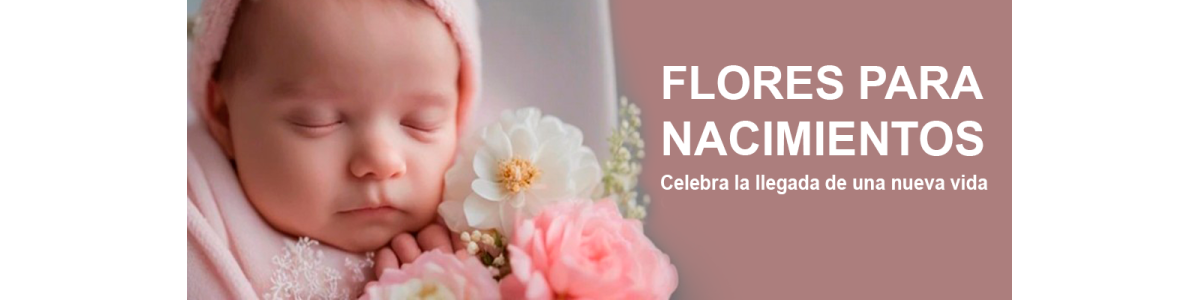 Flores para Nacimientos a Domicilio | Flores a Domicilio