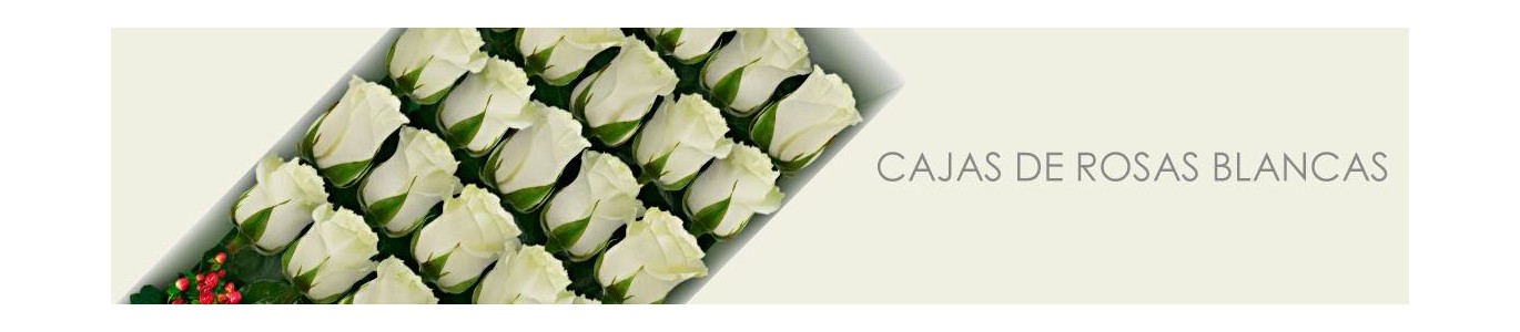 Cajas con Rosas Blancas a Domicilio | Elegancia en Flores a Domicilio