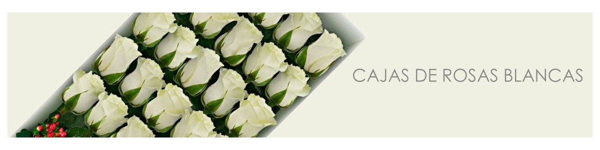Cajas con Rosas Blancas a Domicilio | Elegancia en Flores a Domicilio