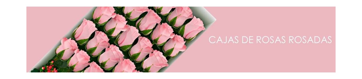 Cajas con Rosas Rosadas a Domicilio | En Flores a Domicilio
