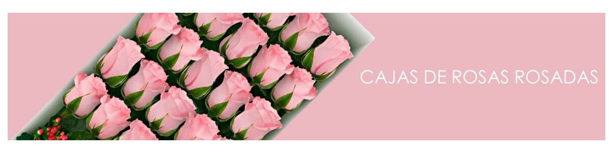 Cajas con Rosas Rosadas a Domicilio | En Flores a Domicilio