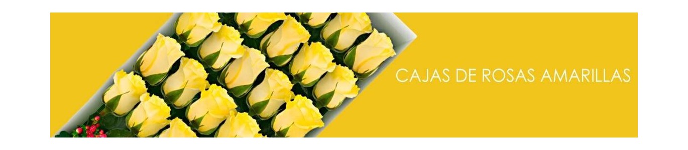 Cajas con Rosas Amarillas a Domicilio | Alegría y Amistad en Flores a Domicilio