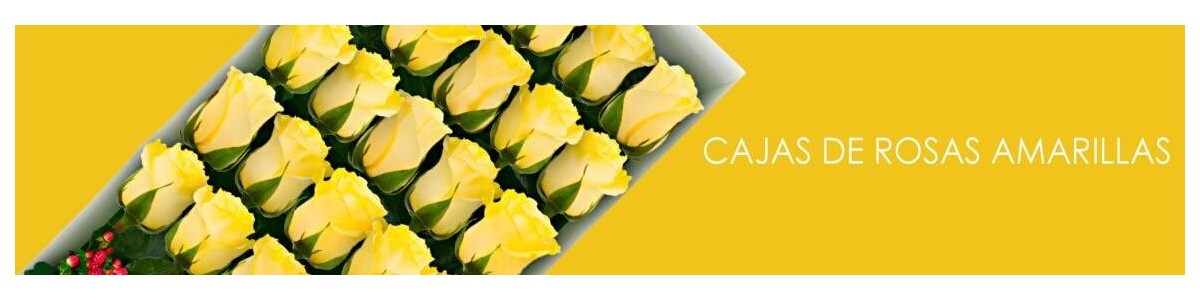 Cajas con Rosas Amarillas a Domicilio | Alegría y Amistad en Flores a Domicilio