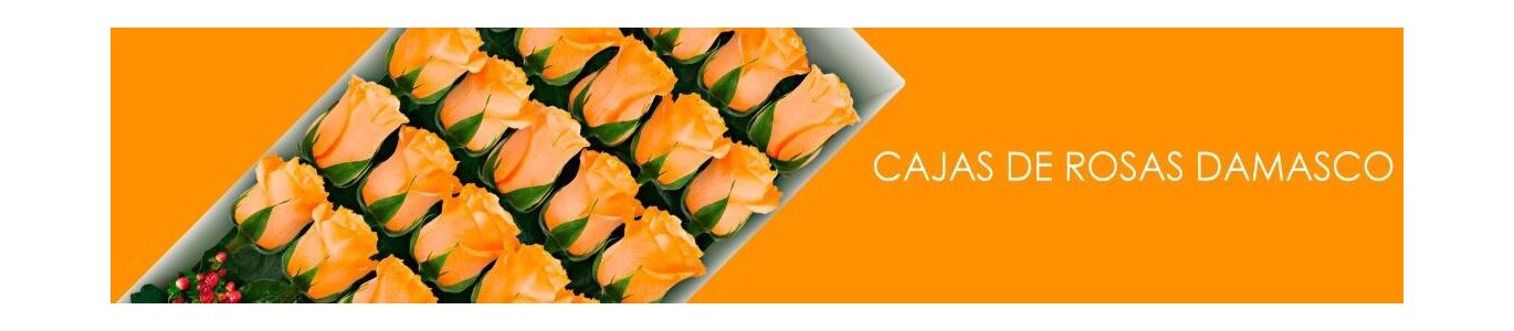 Cajas con Rosas Damasco a Domicilio | Flores a Domicilio