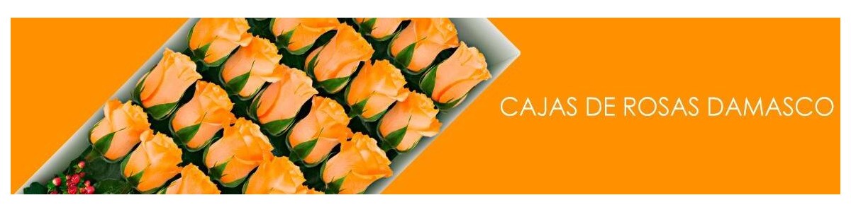 Cajas con Rosas Damasco a Domicilio | Flores a Domicilio