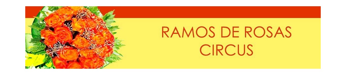 RAMOS DE ROSAS CIRCUS, RAMOS CON ROSAS CIRCUS, RAMOS ROSAS CIRCUS