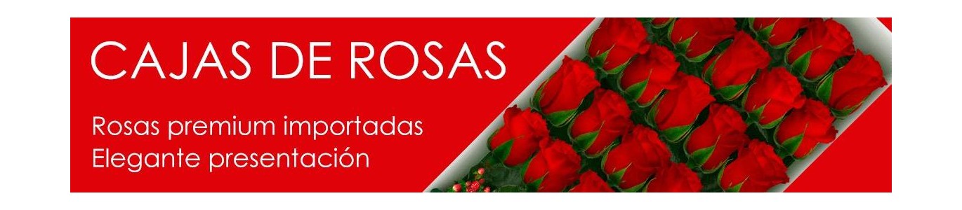 Cajas con Rosas a Domicilio | Flores a Domicilio