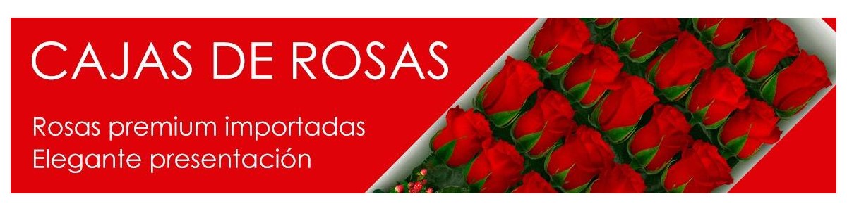 Cajas con Rosas a Domicilio | Flores a Domicilio