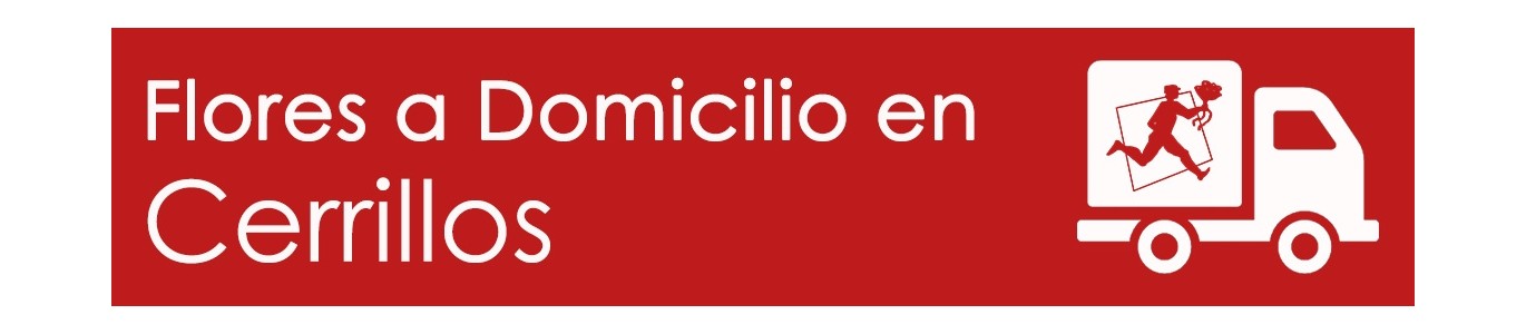 FLORES A DOMICILIO EN CERRILLOS, FLORERÍAS EN CERRILLOS, ARREGLOS FLORALES EN CERRILLOS