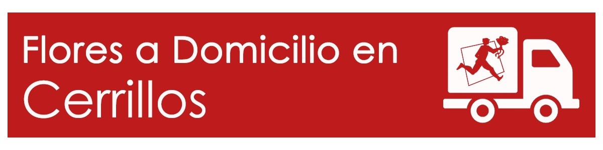 FLORES A DOMICILIO EN CERRILLOS, FLORERÍAS EN CERRILLOS, ARREGLOS FLORALES EN CERRILLOS