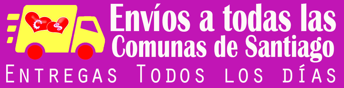 ENVIO DE FLORES A TODAS LAS COMUNAS DE SANTIAGO